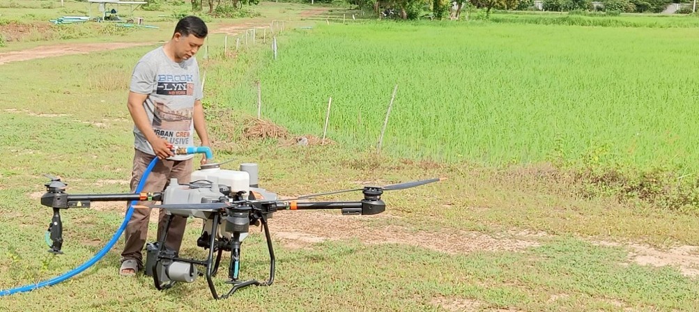 rice-p1-drone-6aug.jpg