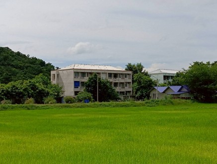 ST BIO ยกระดับผลผลิตข้าวและอ้อย