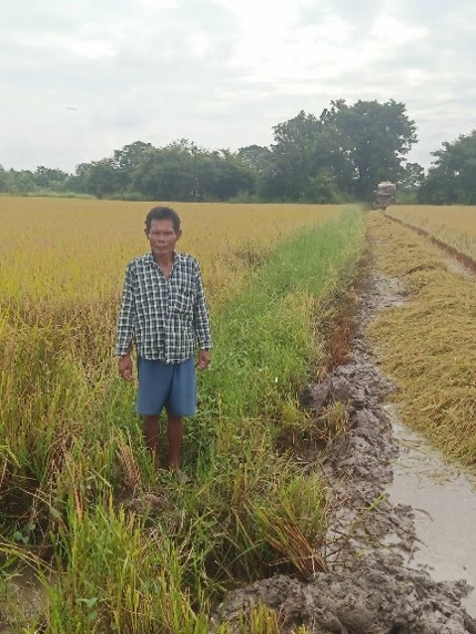 rice-p3-farmer-2.jpg