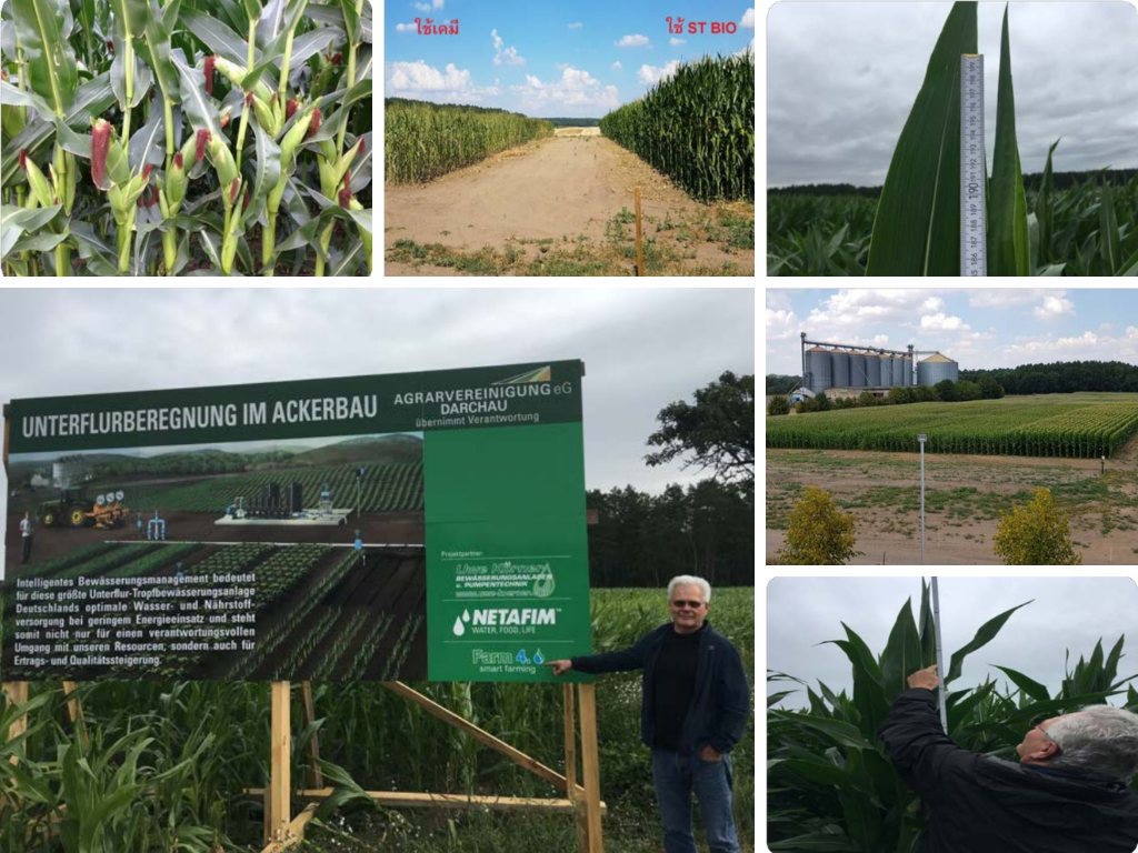 img/st-bio/review_1.png photo