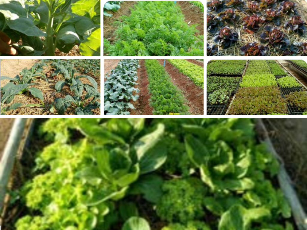 img/st-bio/review_2.png photo