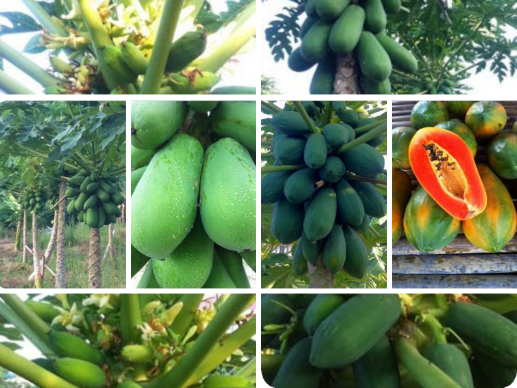 img/st-bio/review_3.png photo