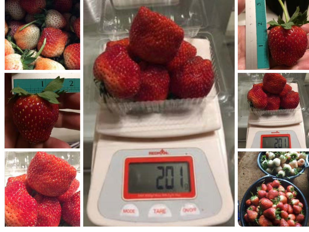 img/st-bio/review_4.png photo