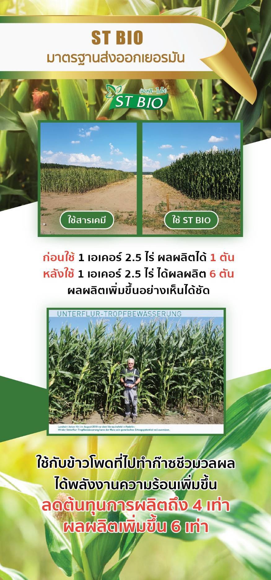 รีวิว 5